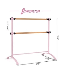 Akiudex 4 Ft Portable Freestanding Double Ballet Barre