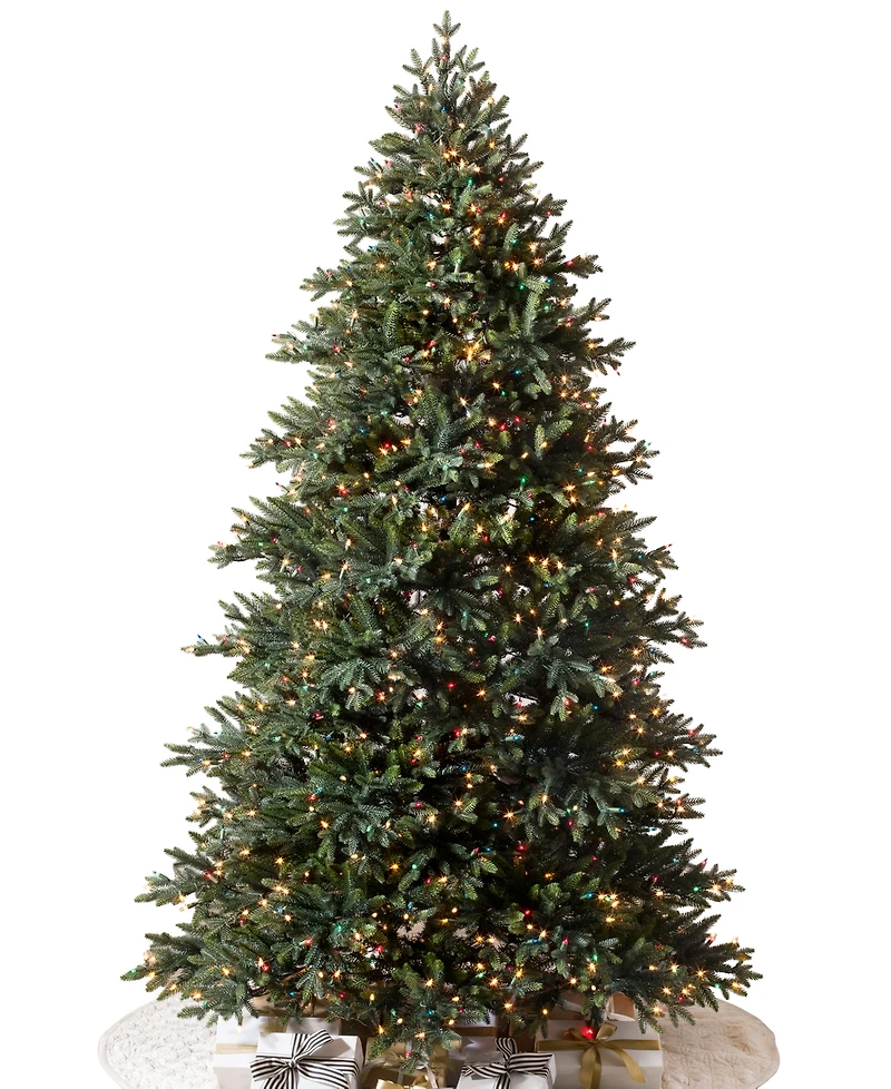 Balsam Hill ft Pre-Lit Colorado Mountain Spruce Tree