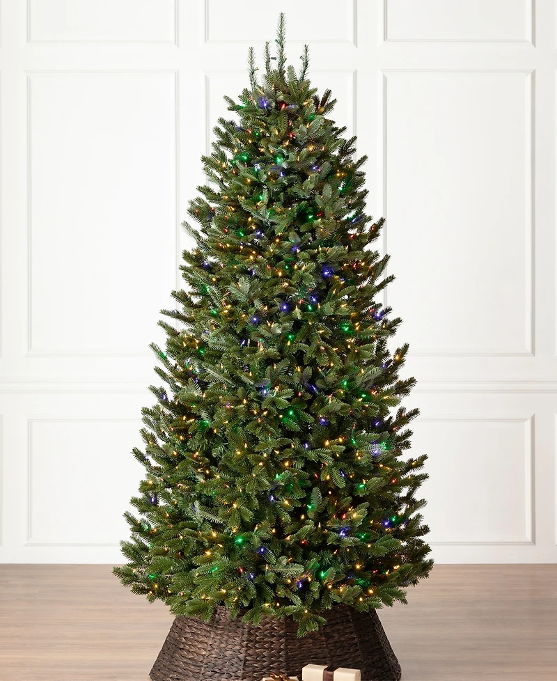 Balsam Hill 6.5 ft Pre-Lit Fraser Fir Narrow Tree