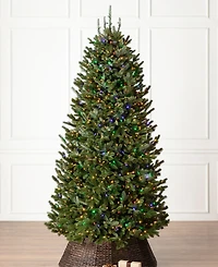 Balsam Hill 6.5 ft Pre-Lit Fraser Fir Narrow Tree