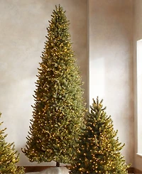 Balsam Hill ft Pre-Lit Vermont Spruce Narrow Tree