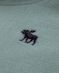 abercrombie kids Boys Essential Fleece Pullover Hoodie