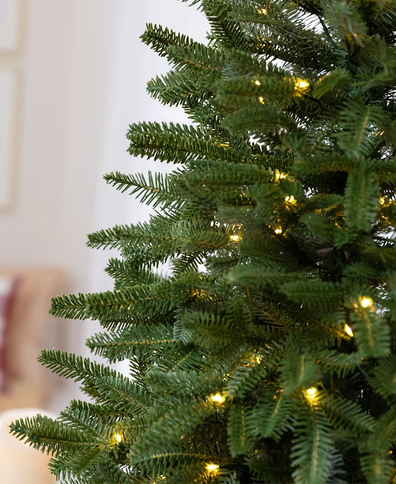 Balsam Hill 2.5 ft Fraser Fir Pre-Lit Tabletop Tree