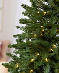 Balsam Hill 2.5 ft Fraser Fir Pre-Lit Tabletop Tree