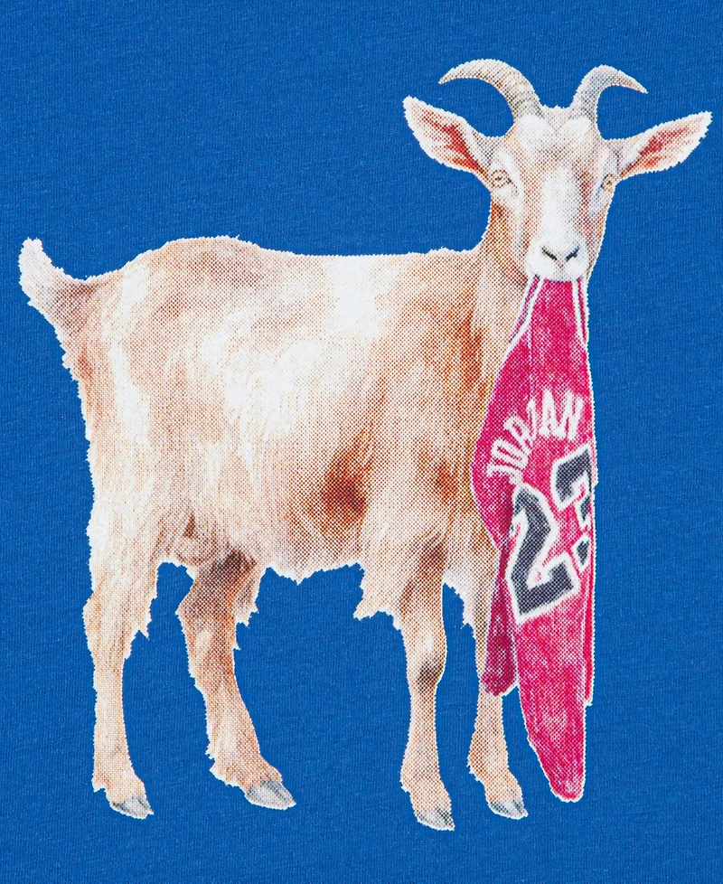 Jordan Big Boys Flight Goat T-Shirt