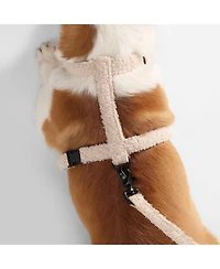 Teddy Boucle Adjustable H Harness Leash Walk Set with Poop Bag Pouch
