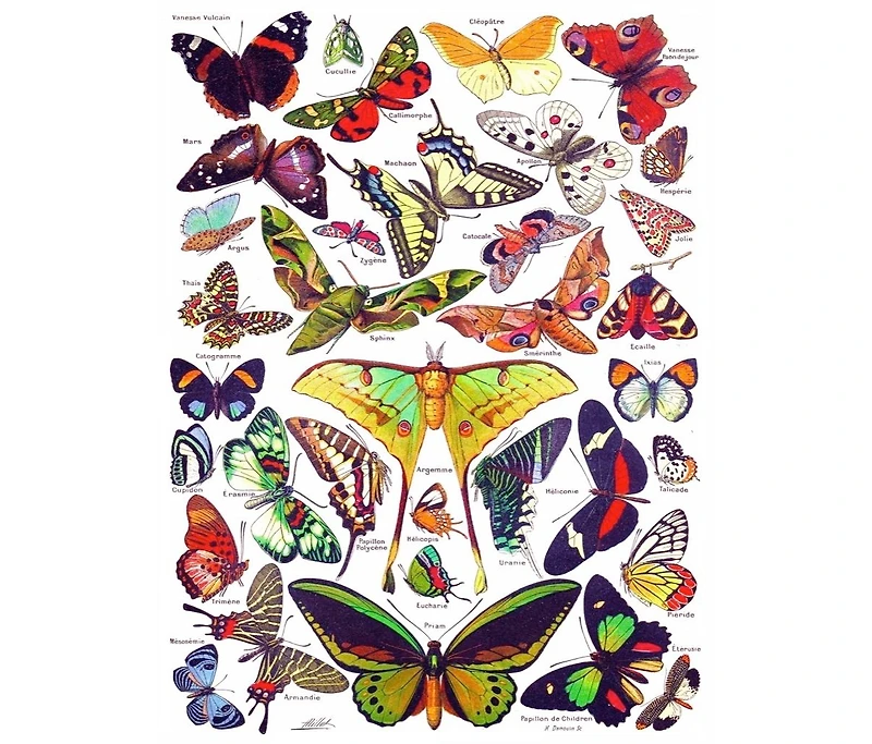 New York Puzzle Company Butterflies Papillons 1000 Piece Puzzle