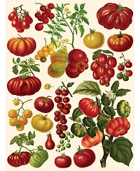 New York Puzzle Company Tomatoes 500 Piece Puzzle