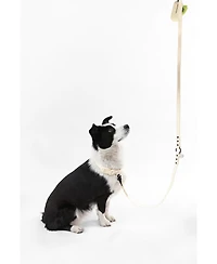 The Licker Store, Luna 8FT Adjustable 6-in-1 Waterproof Hands-Free Leash and Collar with Led Flashlight, Bag Dispenser