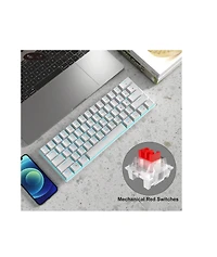 Risokeys 60% Wired Mechanical Gaming Keyboard, Ice Blue Led Backlit 61 Keys Mini Wired Office Keyboard For Windows Laptop (Black-White, Red Switches)