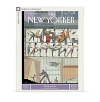 New York Puzzle Company Ready to Soar 1000 Piece Puzzle