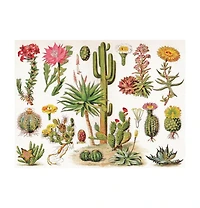 New York Puzzle Company Cacti Cactus 1000 Piece Puzzle