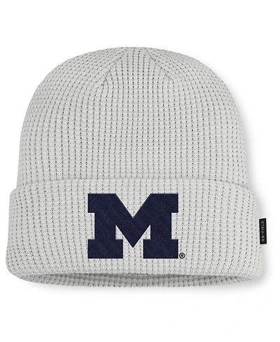 Jordan Men's Gray Michigan Wolverines 2025 On-Field Utility Cuffed Knit Hat