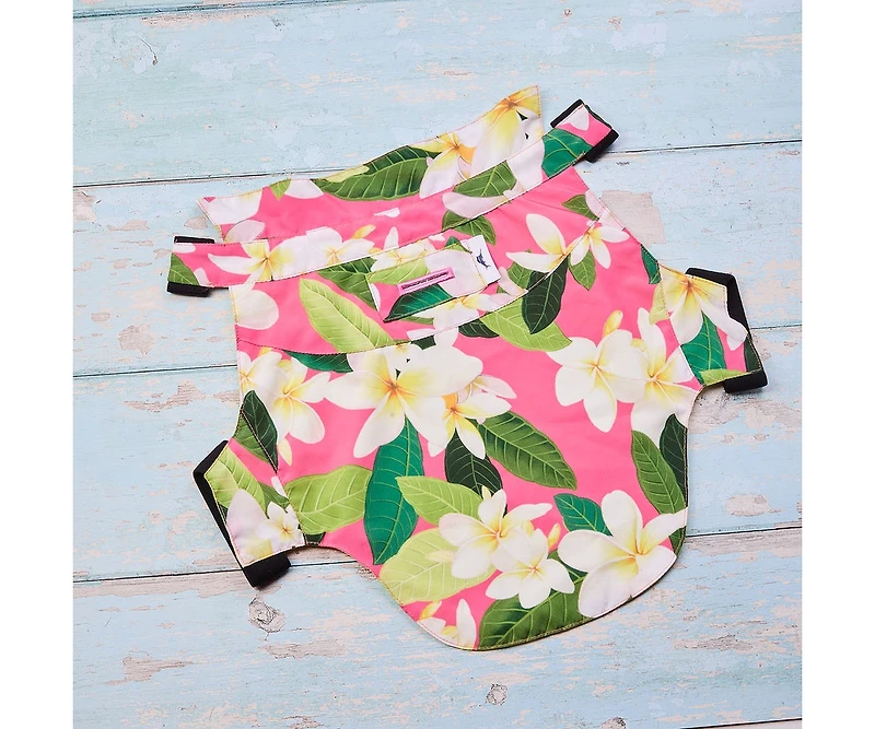 Tommy Bahama Pet Hawaiian Shirt & Apparel Harness
