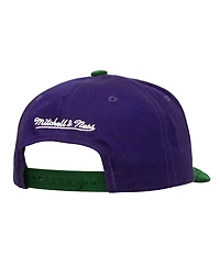 Mitchell & Ness Men's Purple/Green Milwaukee Bucks May Flowers Adjustable Hat