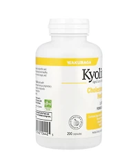 Kyolic Aged Garlic Extract Cholesterol Health Formula 104