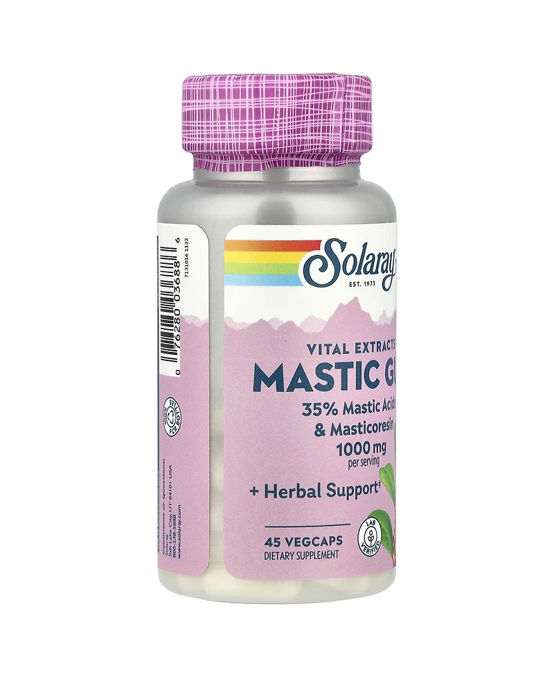 Solaray Vital Extracts Mastic Gum - 45 VegCaps (500 mg per Capsule)