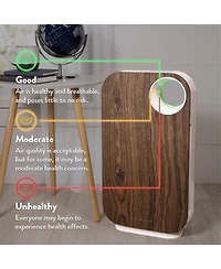 Oval Air H13 Hepa 5-in-1 Purifier, 600 sq. ft. Coverage – Reduces Allergies