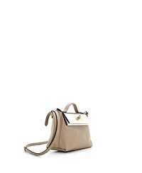 Pre-Owned Hermes 21 24/24 Bag Tricolor Evercolor with Swift