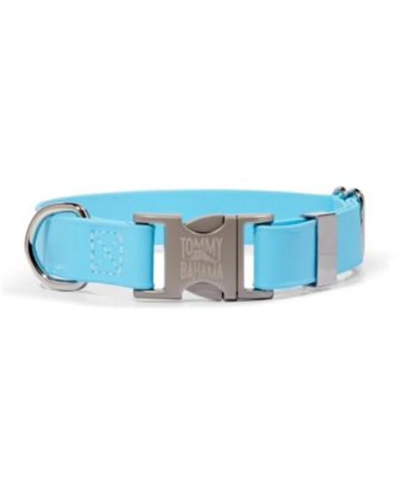 Tommy Bahama Pet Collar Blue