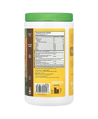 Amazing Grass Greens Blend Superfood Chocolate