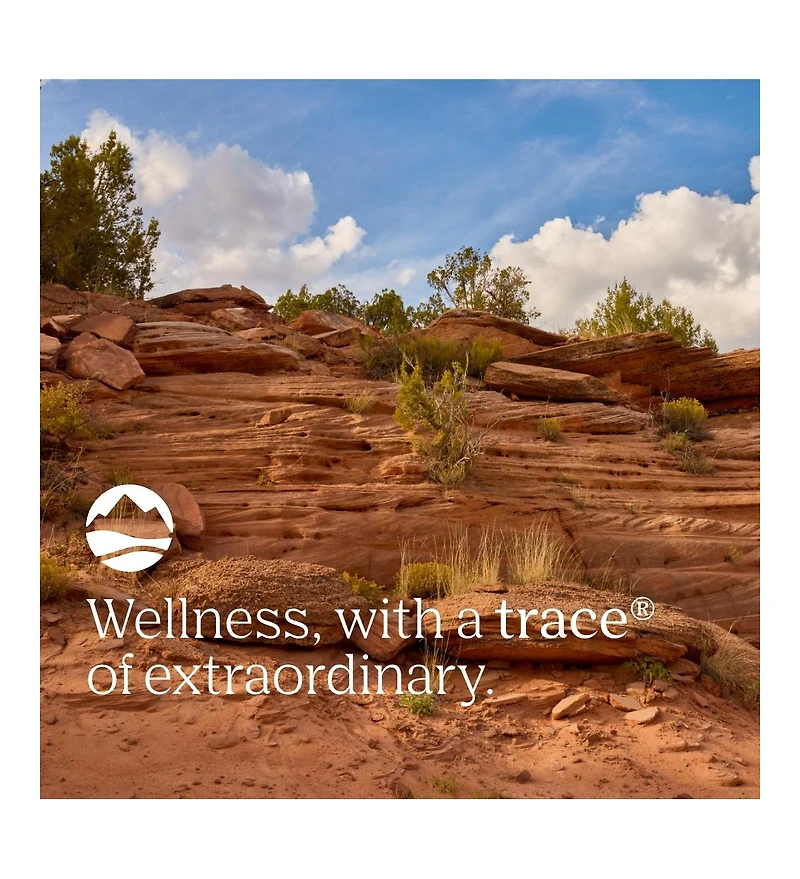 Trace Minerals Magnesium 84mg - Chewable Magnesium Supplement for Bone & Heart Health Support - Immune System Support