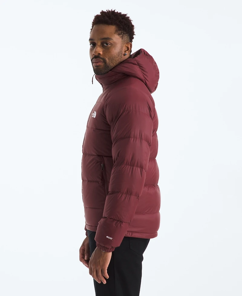 The North Face Men's Hydrenalite Down Hoodie