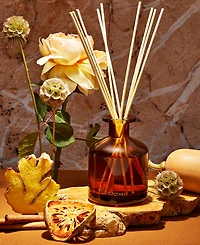 Apotheke Pumpkin Ginger Reed Diffuser, 6.7 oz.