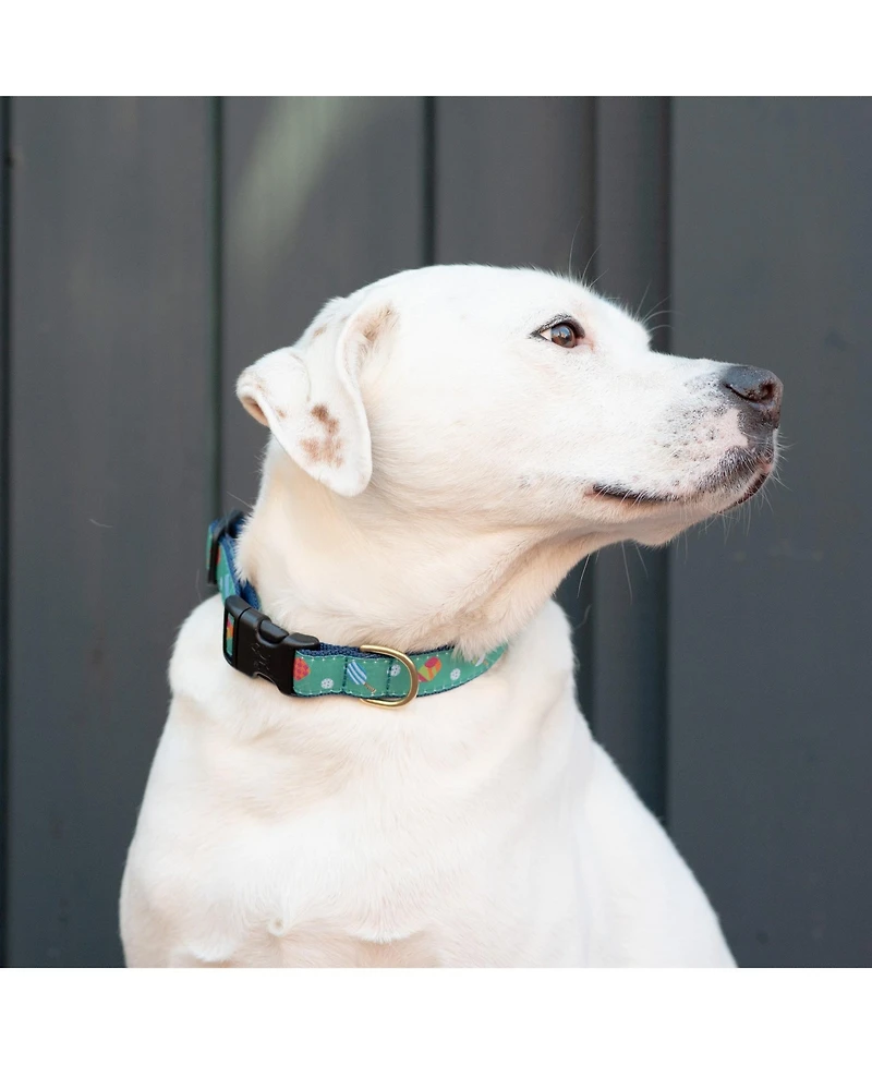Up Country Pickleball Dog Collar