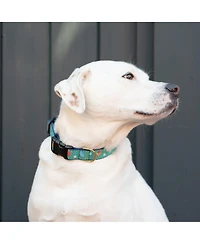 Up Country Pickleball Dog Collar