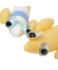 Inflatable Noodle: Finn the Fish