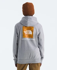 The North Face Big Boys Teen Evolution Pull-On Hoodie