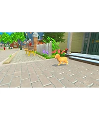 Maximum Games My Universe: Puppies and Kittens