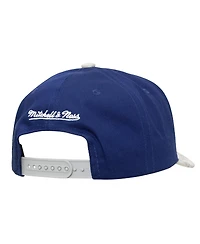 Mitchell & Ness Men's Blue/Gray Toronto Maple Leaf's May Flowers Pro Crown Adjustable Hat