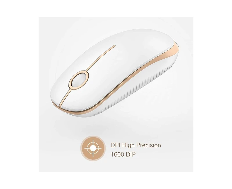 Risokeys Wireless Mouse, 2.4G Slim Portable Computer Mouse with Nano Receiver Quiet Silent Optical Laptop Mouse for Notebook, Pc
