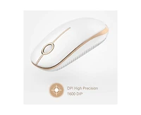 Risokeys Wireless Mouse, 2.4G Slim Portable Computer Mouse with Nano Receiver Quiet Silent Optical Laptop Mouse for Notebook, Pc