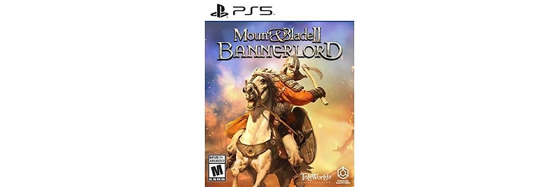 Koch Media Mount & Blade 2 Bannerlord