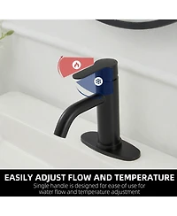 Greenspring Single Hole Single-Handle Bathroom Faucet in Matte Black