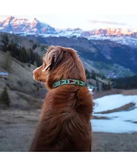 Up Country Camp Woof Dog Lead