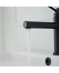 Greenspring Single Hole Single-Handle Bathroom Faucet in Matte Black