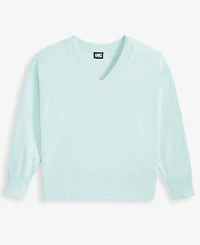 I.n.c. International Concepts Women's V-Neck Sweater, Macy's Exclusive