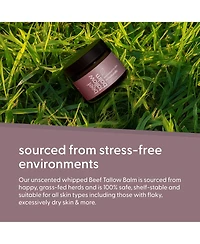 M3 Beef Tallow Balm, Unscented, 2oz