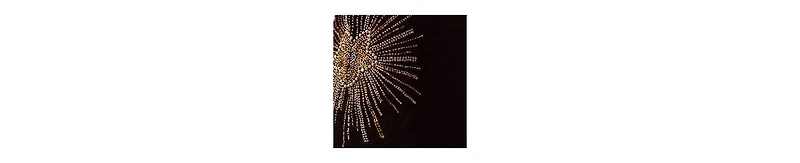 Star Embellished Velvet Flared Pants