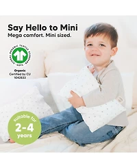 Mini Toddler Pillow and Pillowcase for Crib, 9x13 Small Toddler, Kids Travel