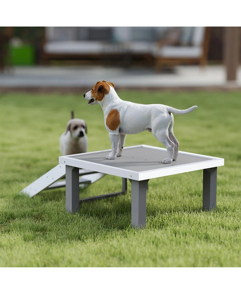 PawHut Wooden Dog Training Platform, Pet Training Place Board,