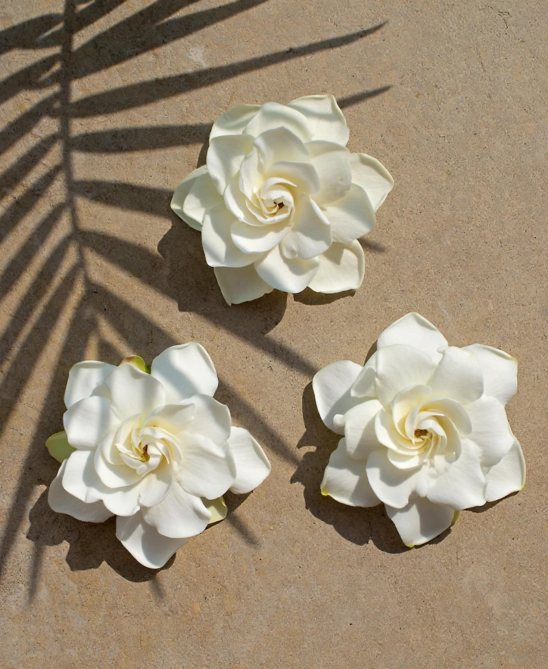 Ua Hawaii Roller Perfume
