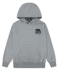 Levi's Boys 8-20 Winter Bear Pullover Hoodie