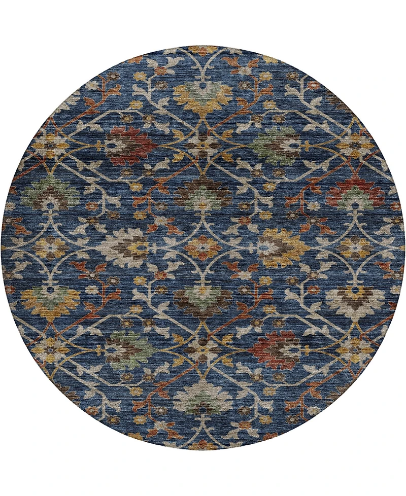Dalyn Silk Road Washable SR4 8'x8' Round Area Rug