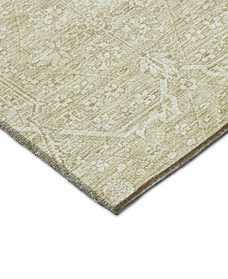 Dalyn Solace Washable SL12 2'6"x3'10" Area Rug