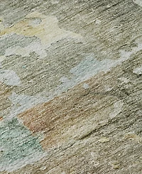 Dalyn Ravenna Washable RN3 3'x5' Area Rug